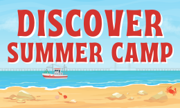 Discover Summer Bayside Elementary | Ages 6-12